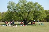 Picnic in the Park