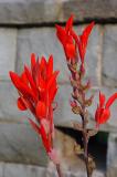 DSC_6472s.jpg