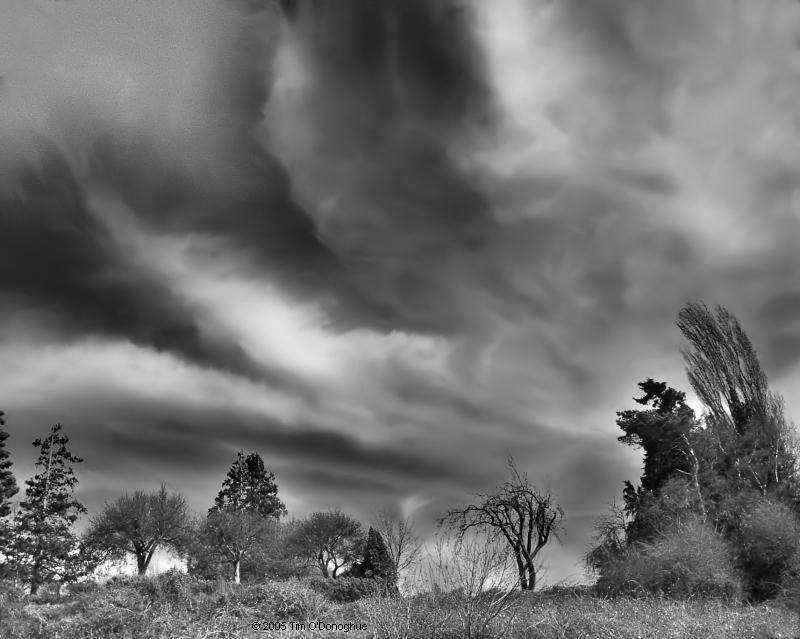 Winds of March
