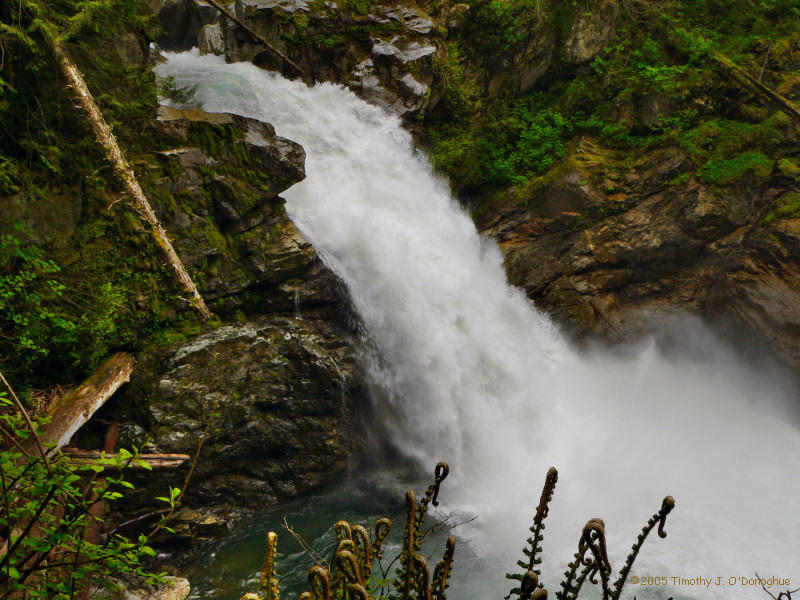 North Fork Sauk Falls - upstream