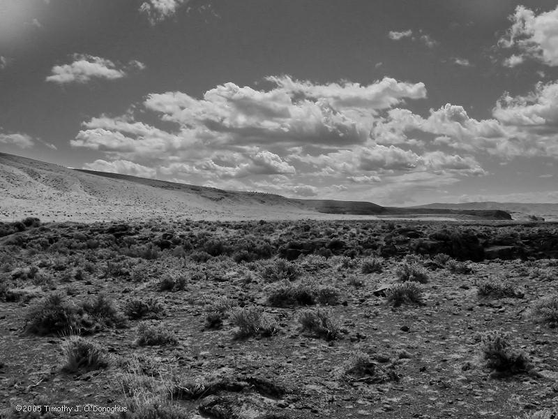 A View in Vantage