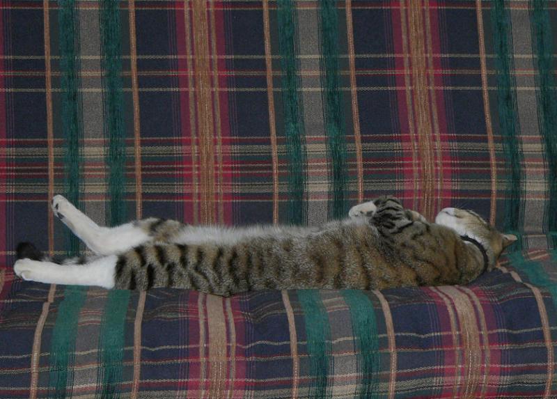 Im SO uptight!