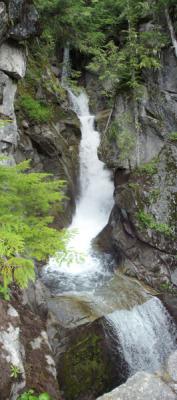 Christine Falls