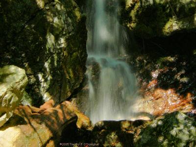 Grotto of the Faeries