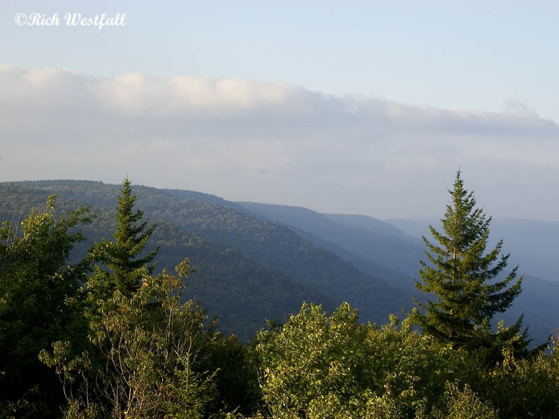 View from Black Mountain Overlook