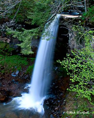 Hills Creek falls # 3