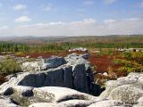 Dolly Sods Wilderness