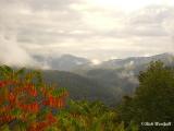 View from Randolph County border