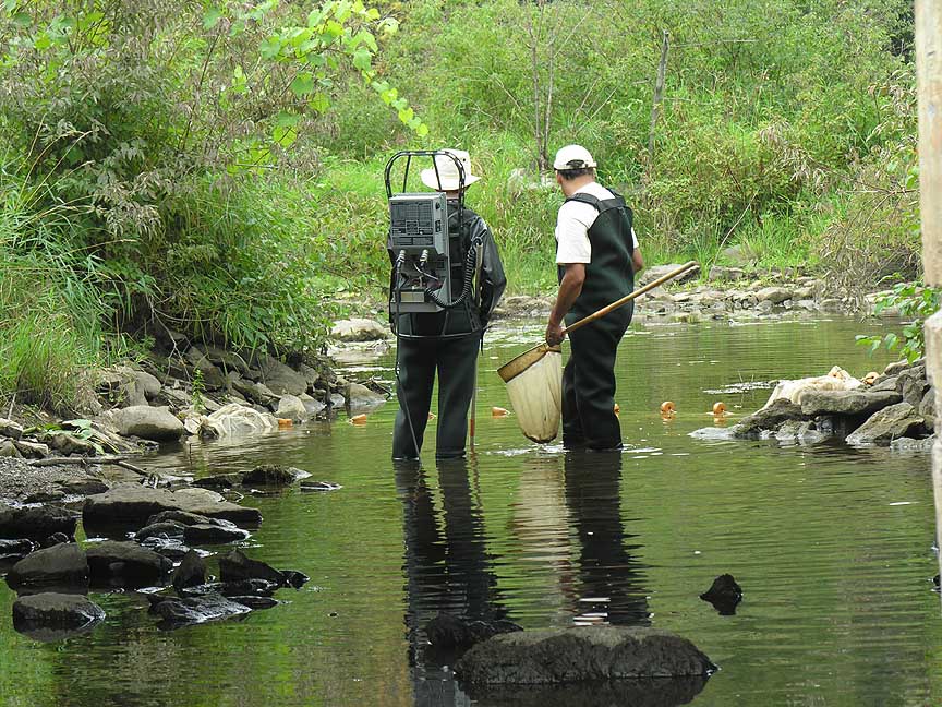 under bridge at Site 5