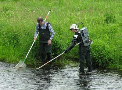 v3/59/68959/3/45324138.fishing2.jpg