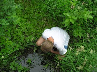 looking for mussel and snail shells