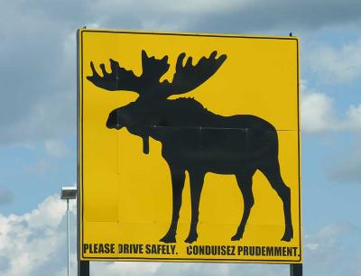 big moose sign at truck stop