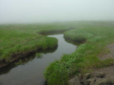 Tidal stream at Scot's Bay