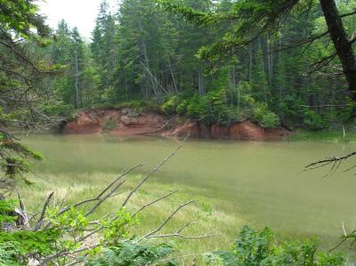 tidal stream at Thomas' Cove -- 1:19 p.m.