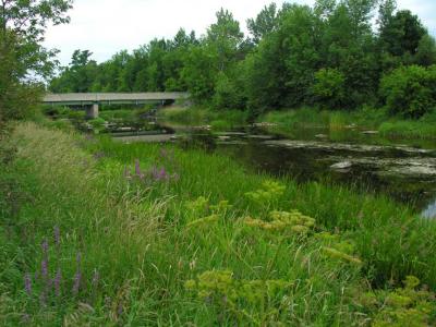 Greenbank Road Bridge -- Site # 1