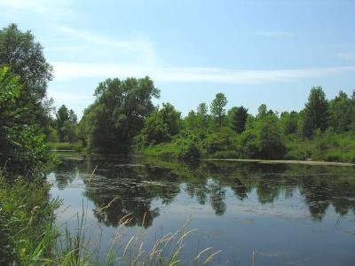 Jock River in Richmond village -- Site # 3 - upstream view