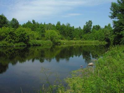Jock River in Richmond village -- Site # 3 - downstream view