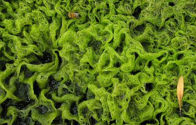 textures.jpg