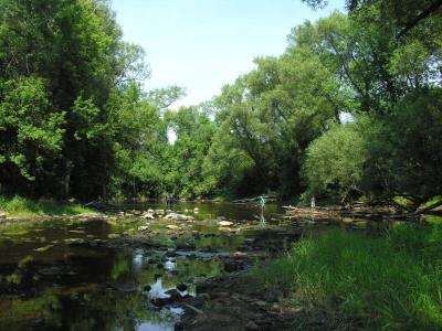 Site # 4 -- below weir in Richmond - view 1