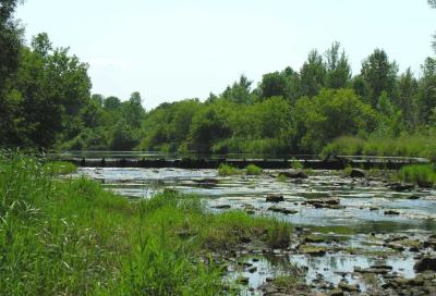 weir on Jock River (east side of Richmond) - upstream of site 4