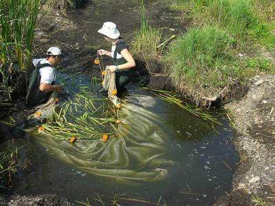 Site 2 -- seine net