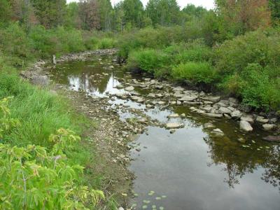 Site 5 - Kings Creek @ Ashton Station Rd.. - downstream