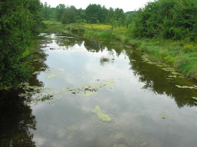 Site 7 -- Jock River at Munster Side Road - upstream