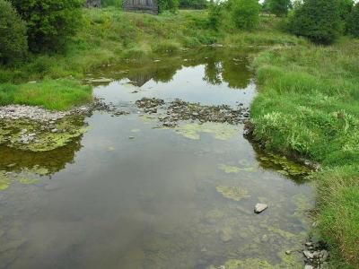 Site 7 -- Jock River at Munster Side Road - downstream