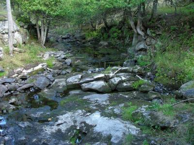 Black Creek at footbridge near McParlan cabin