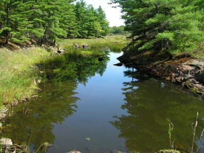 Black Creek @ Black Ance Rd. - downstream