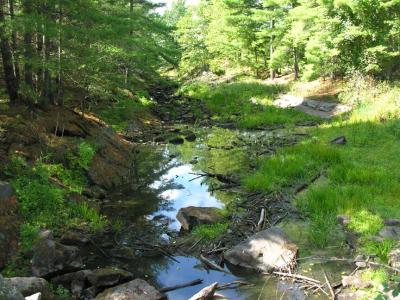 Black Creek @ Black Ance Rd. - upstream