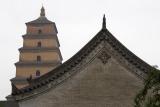 Big Wild Goose Pagoda - Viewed From The Temple