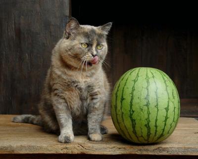 Eve + Watermelon