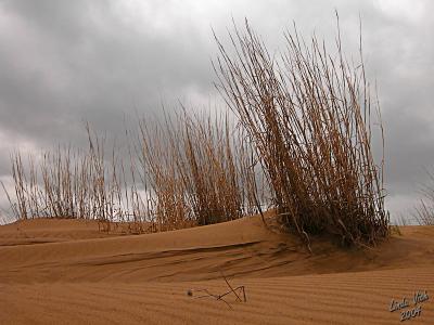 Carberry Desert, Manitoba