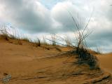 Carberry Desert, Manitoba