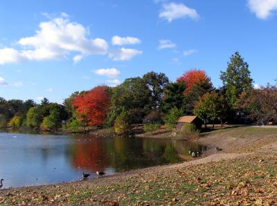 11 2 2005 saddle river park 4 cropped copy.jpg