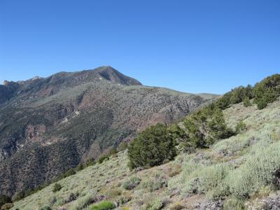 Telescope Peak in the distance