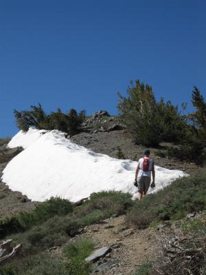 The snow patch seen from afar