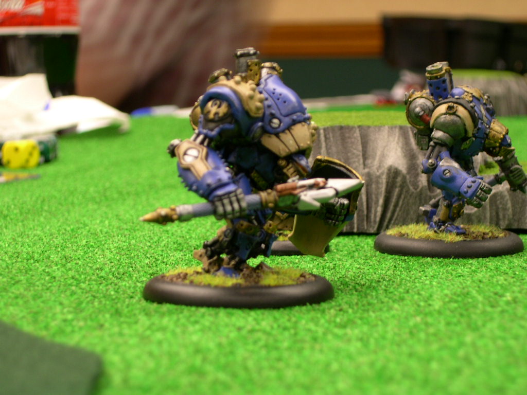 Typhus centurian