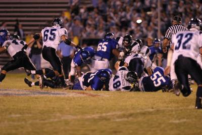 IMG_2993.jpg