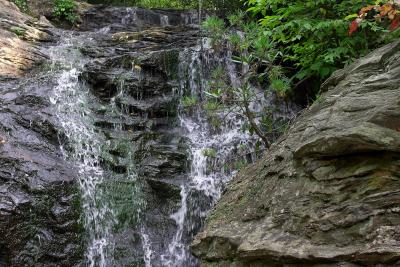 v3/60/346160/3/48013146.CRW_4100.jpg