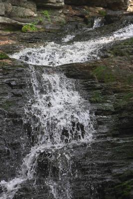 v3/60/346160/3/48013180.CRW_4120.jpg