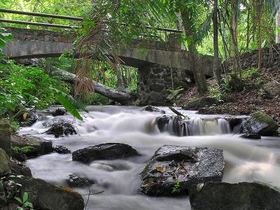 White stream / Manantial blanco