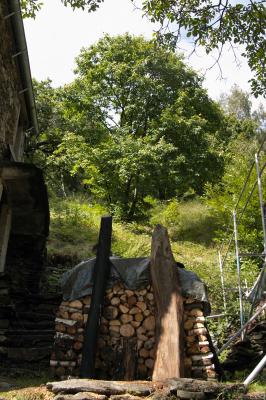 CRW_5261.jpg