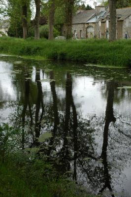 DSC_0502.JPG