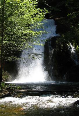 Lake Jenkinson Waterfall