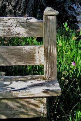 Beach Bench