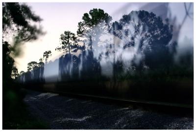 shadows on moving train