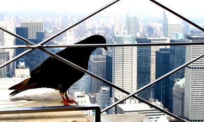  from top of ESB