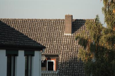 v3/60/514860/3/50719300.IMG_05671.jpg